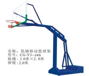 籃球架戶外標(biāo)準(zhǔn)可移動家用學(xué)校比賽訓(xùn)練成人大小平箱凹箱